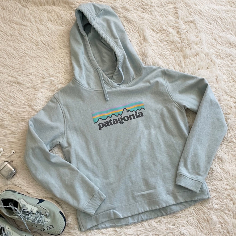 Patagonia Mint Pastel Hoodie Sweater Size M
